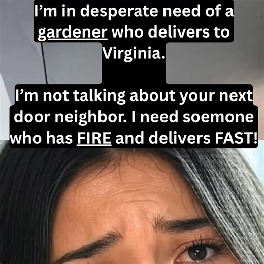 Premium FLWR Delivered Fast. Hundreds of 5-Star Google Reviews. Trusted, Reliable and Unmatched Quality. | Flower DC | Facebook