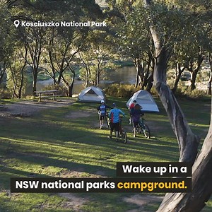 Escape to a NSW national parks campground for a blissful break. Discover beautiful locations from the country to coast. | NSW National Parks and Wildlife Service