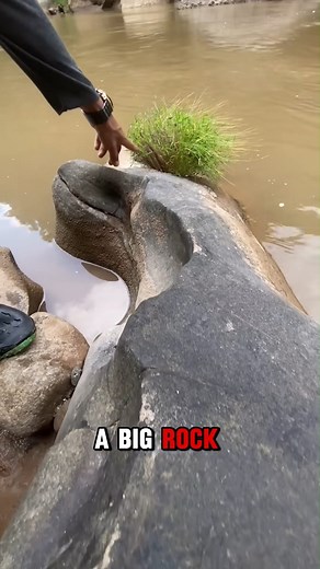 155K views · 1K reactions | . . . . . #science #DidYouKnow #knowledge #facts #scientists | Viral Side | Facebook