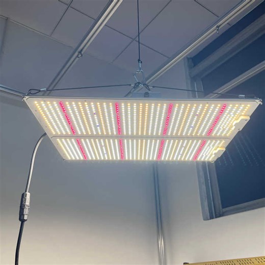 ANDY SAMSUNG LM301H EVO LM301B LM281B Electronic Board Hydroponic 100W 200W 400W Led Grow Light