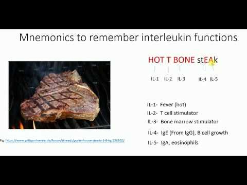 Mnemonics to remember interleukin functions