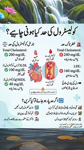 2.9K views · 968 reactions | Cholesterol Levels: What’s Normal,...