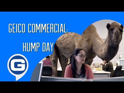 GEICO Commercial - Hump Day 🐪🤣 (2013)