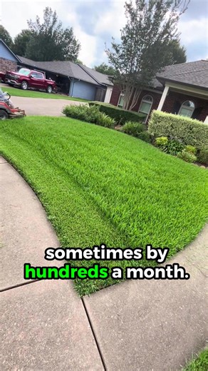 Why do landscapers never change their business insurance? ❌ It takes forever to get a quote ❌ You get bombarded by phone calls and spam emails ❌ Most business owners think it’s a long & difficult process to switch This new free tool solves all these problems. ✅ Takes 2 minutes to get started ✅ Compiles a list of all the top providers so you can pick the best rates ✅ Start saving in no time at all! Thousands of landscapers have already lowered their business insurance with this free tool. Click “