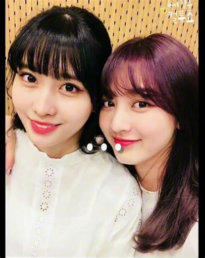 Amo a momo y a jihyo