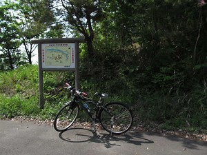 素人が13年目のクロスバイクCS3000を徹底メンテナンス。パーツ選びで調べたこと