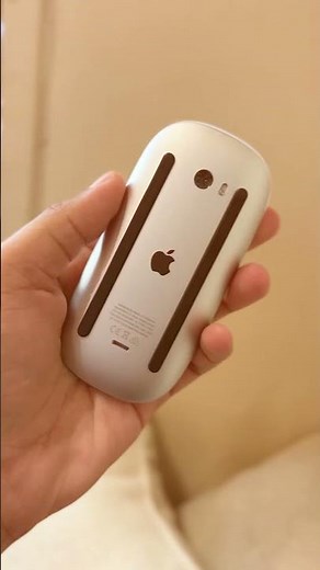 Why Apple Mouse is so expensive!!!