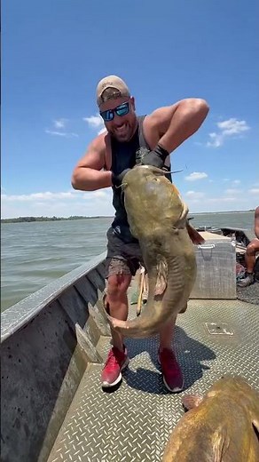 😱 HUGE Catfish Caught! This Fish Is MASSIVE! 🎣🔥