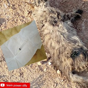 1.8K views · 54 reactions | Mukama wange yambadde emeere nga ataddemu obutwa najjiridde kuba mwekengera najjiwadde kkaappa yawaka olwalidde neffirawo | Power riffy | Facebook