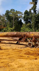 Logging truck choke installation #reels #loggingtruck #wheelloader | Edy Supono