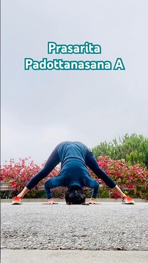 #YogaStretch 🤸 Wide Leg Forward Bend 🤸 Prasarita Padottanasana A