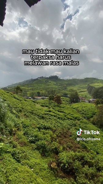 Tips paling ampuh untuk para pemalas agar lebih berguna🤭 #irisohyama #innovativehometech