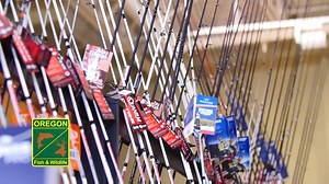 1.3K views · 62 reactions | For most of Western Oregon, the Spring...