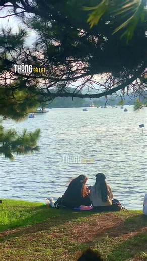 Thong Villa Đà Lạt: Hỡi Người Tôi Yêu Có Thấu Chăng Cho Lòng Tôi?