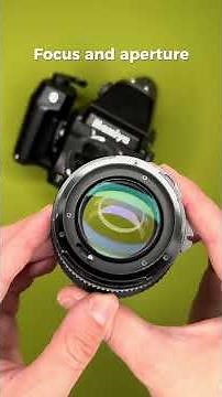 Mamiya 645E Film Test - 80mm f1.9 Lens Medium Format - Kodak Gold 200 - Blue Moon Camera Review