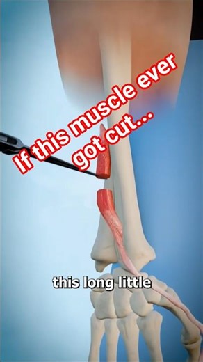 If THIS muscle ever got cut #shorts