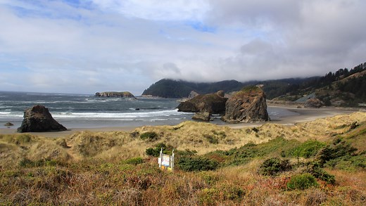 5 best hikes near Oregon's Gold Beach feature old-growth forest and ocean beach