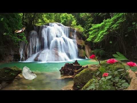 Naturaleza en 4K 60fps HDR (ULTRA HD) - Videos en 4K // Planeta Increíble Paisaje de la Naturaleza