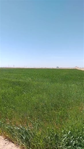 فيديوهات أنشأها ابو كرم الجميلي ❤️🥀 (@1996d_6) باستخدام الصوت الأصلي - فاگد أم