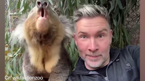 When animals choose their own unexpected friendships