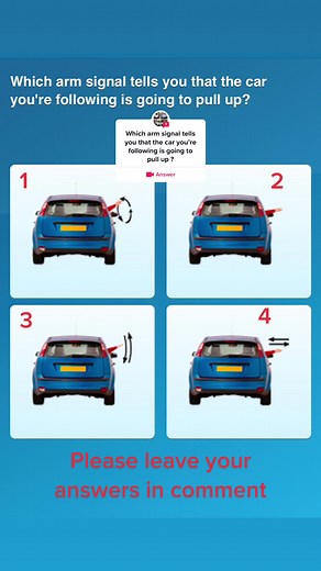 learndrivingwithmani on TikTok