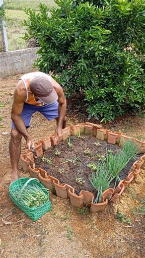 Dicas para ter um canteiro de cebolinha saudável. #vlog #plants #dicasdeunhasbr #viral | Jorge Luiz Batista