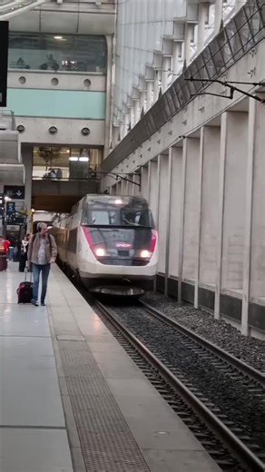 Combien d’argent la SNCF perd chaque année à cause des fraudeurs ? #tgv #train #france #education #fraude