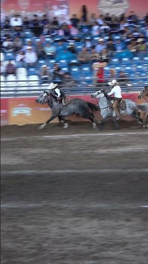 We'll see you this weekend at the LXXXI National Charro Congress and Championship 2025 #charreria