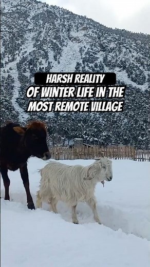 Unreal: Life at –20°C | Struggling Through Winter in the Himalayas | Remote Village Life #fyp #viral