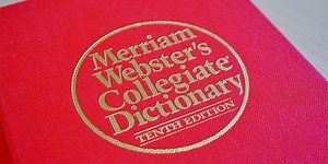 Florida's book bans have now come for dictionaries