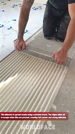 Professional Tile Adhesive Application | Perfect Notched Trowel Technique