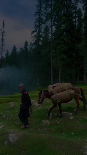 Beautiful Kashmir | Amelia Yoga Oman