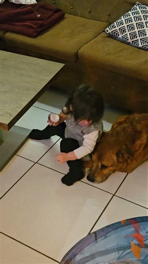 C’est trooop mignon #bebe #chien #mignon #prtoi