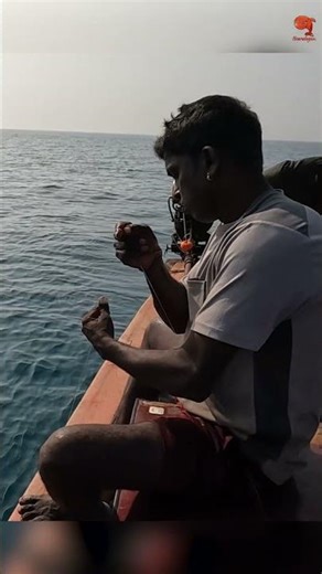 Horse Eye Jack smashed the prawn bait! #fishing #fishingvideo #fishingtime