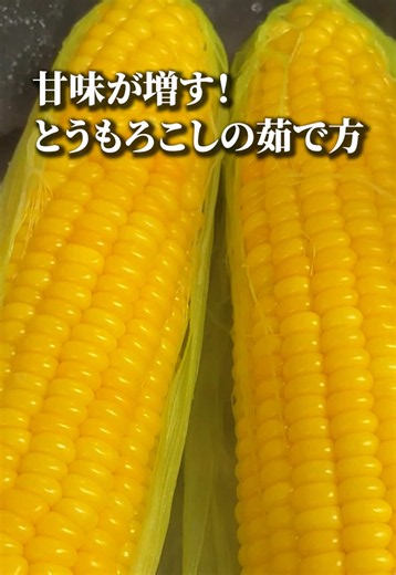【保存版】甘みを逃さない！とうもろこしの茹で方＆冷凍術 ------------------------------------ 【材料】 とうもろこし：2本～3本 水：200ml（または200cc） 塩：小さじ1 ------------------------------------ 【手順】 ①とうもろこしを洗い、内側の薄皮を1〜2枚残してむく。 ②茎を切り落とす。 ③フライパンに水、塩を入れて混ぜ、とうもろこしを並べる。 ④蓋をして中火にかけ、沸騰したらそのまま3分茹でる。 ⑤ひっくり返して、さらに蓋をして2分茹でる。 ⑥火を止めて、蓋をしたまま2分間蒸らす。 ⑦粗熱が取れたら薄皮をむき、熱いうちにラップで1本ずつ包む。 ------------------------------------ 【保存の目安】 冷蔵：2〜3日 冷凍：約1ヶ月 冷凍したものは、レンジで温め直すか、凍ったまま炒め物などに使えて便利です！ #とうもろこし #とうもろこしの茹で方