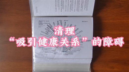 SRT团清-清理“吸引健康关系”的障碍