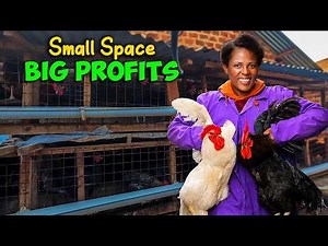 How This Ugandan Woman Turned Rented Houses Into a Thriving Local Poultry Farm