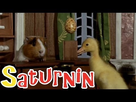 Saturnin - Saturnin the ornithologist