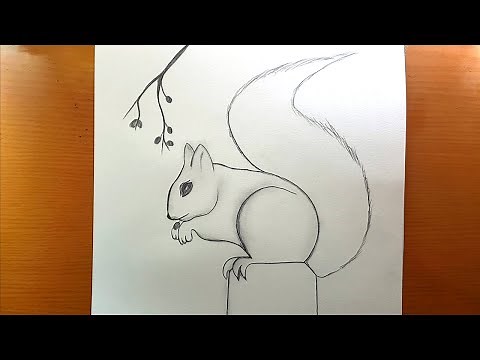 desenho fácil | Como desenhar um esquilo passo a passo desenho de esquilo muito fácil / fofo