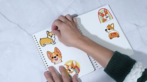 Amazon.com: Reusable Sticker Book Collecting Album Blank Sticker Storage Book for Adults A5 Size 40 Sheets Release Paper Sticker Collection Book with Clear Plastic Cover for Sticker Keeper Holder (Rose)