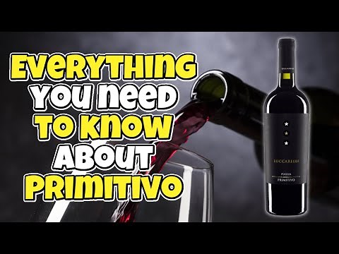 Everything You Need to Know About Primitivo