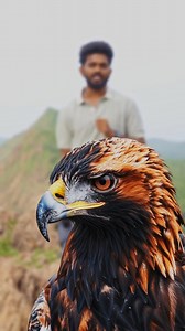 🔥Wildlife photography tip 1/30 tips Follow for such content... #WildlifePhotography #photographer #teluguphotographyvlogs #photographytips #photographyclass #viewfindersnap | Sai Rahul