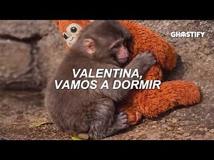 Carla Morrison - Valentina (Letra) Punch The Monkey