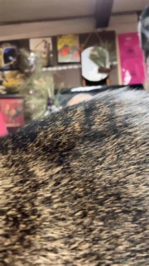 Libby Smith on Reels