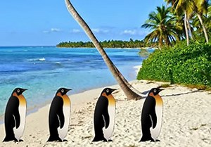 Rescue Innocent Fish - Escape Fan