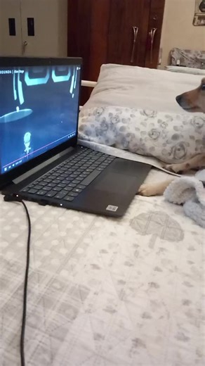 Alien Stage Disapproval: Heartbreak Revealed