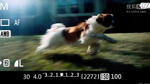 摄影教程 单反相机入门教程 佳能eos60d使用技巧