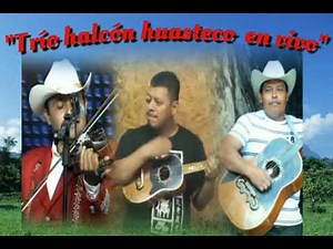 EN VIVO!! TRÍO HALCÓN HUASTECO🎻💿DISCO COMPLETO!!