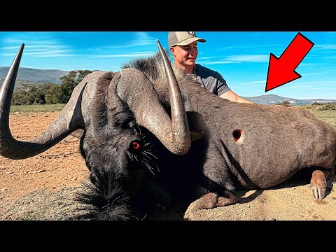 Top 30 Best Hunts of All Time!