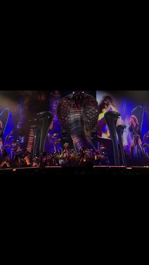 Taylor Swift Reputation Tour Highlights | Karyn, Snakes, and Iconic Moments